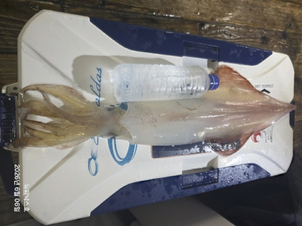 2406얼7일한치 (5).jpg
