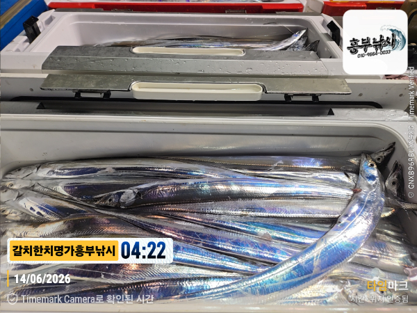 2026-06-14 04.22.08__(제목-갈치한치명가흥부낚시).jpg