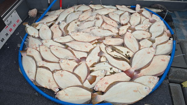 20260622_154612 - 복사본.jpg