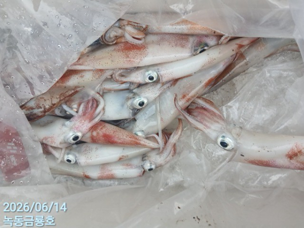 61905.jpg