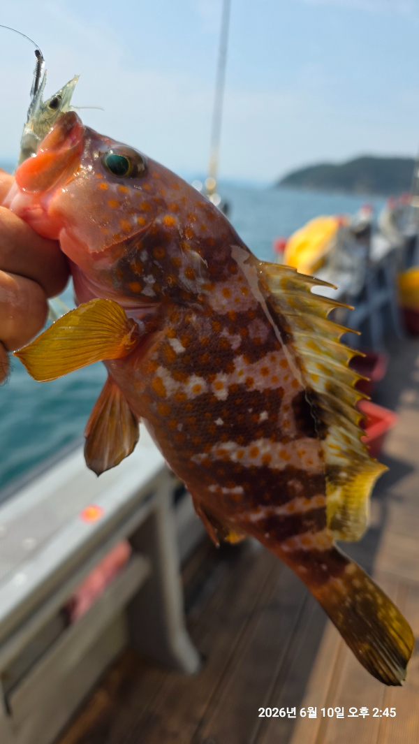1000106634.jpg