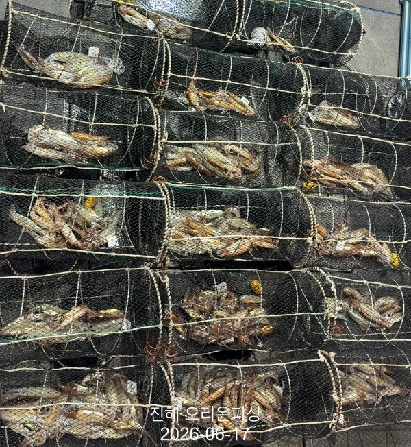 KakaoTalk_20260618_071652320_14.jpg