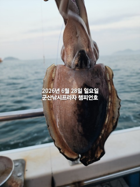 KakaoTalk_20260628_062049994_05.jpg