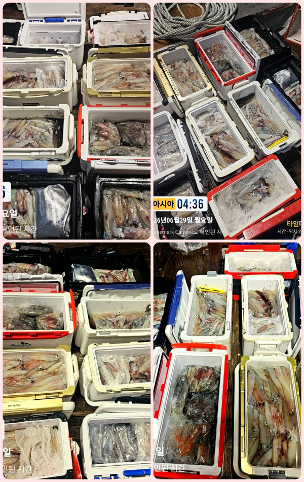 KakaoTalk_20260629_063522543-tile.jpg
