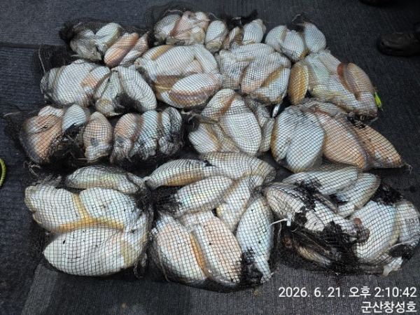 KakaoTalk_20260621_145024600.jpg