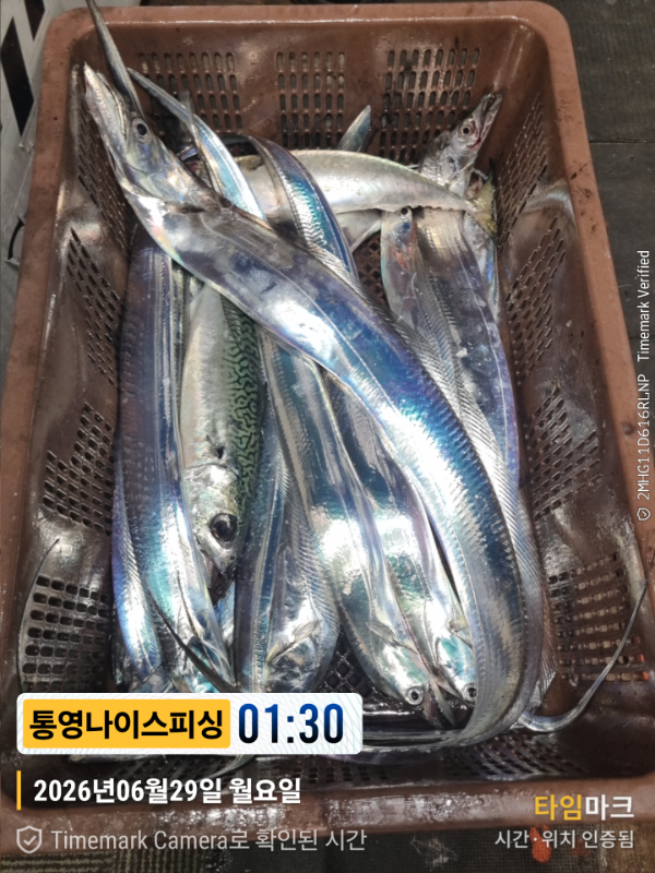 2026-06-29 01.30.18__(제목-통영나이스피싱).jpg