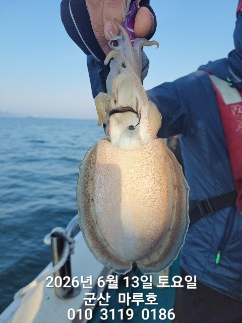 KakaoTalk_20260613_070402581.jpg