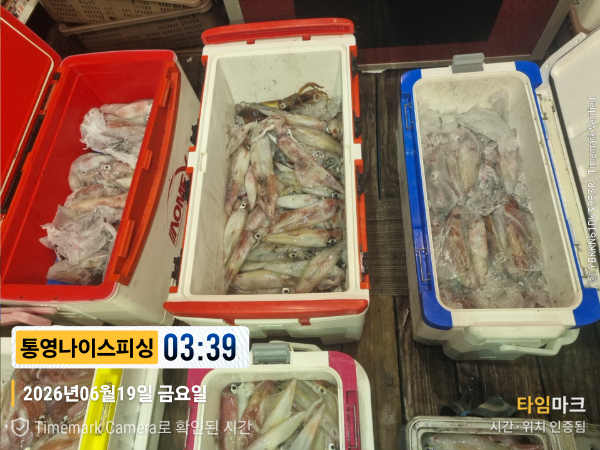 2026-06-19 03.39.04__(제목-통영나이스피싱).jpg