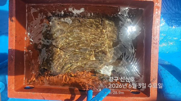 신신낚시 강구점 신신호_사진_20260603_5.jpg