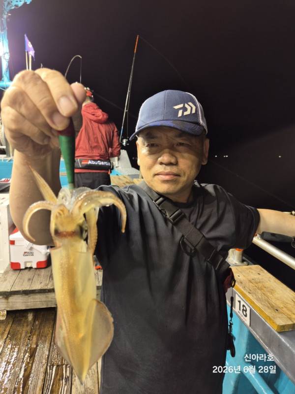 신아라호 한치 칼치 오징어_사진_20260629_9.jpg