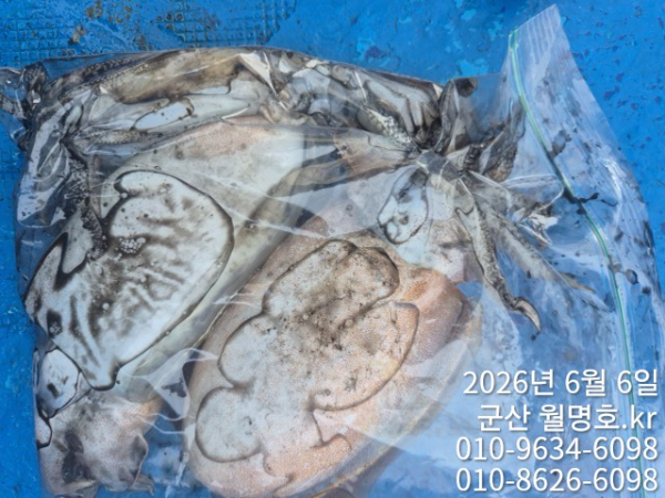 8631.jpg