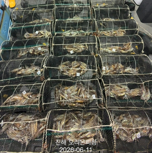 KakaoTalk_20260611_045513661_11.jpg