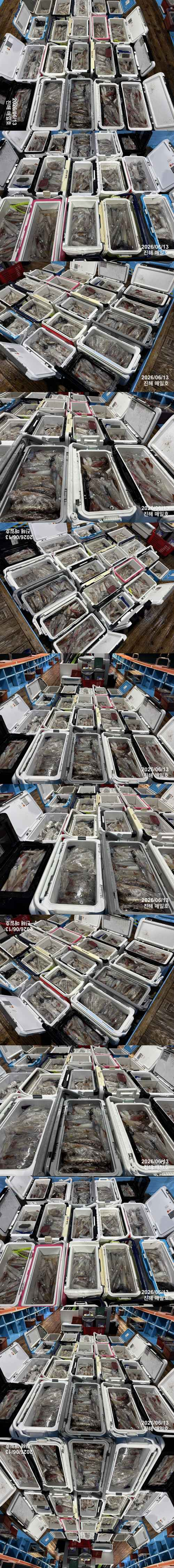 왕한치3.jpg