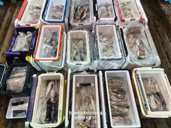 바다꾼낚시(신아라호)_사진_20260601_3.jpg