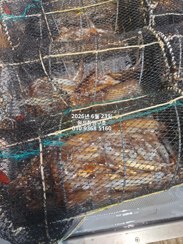 KakaoTalk_20260623_063352859_05.jpg