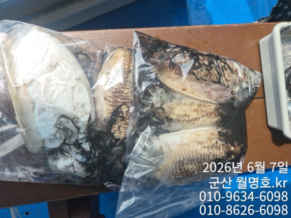 8705.jpg