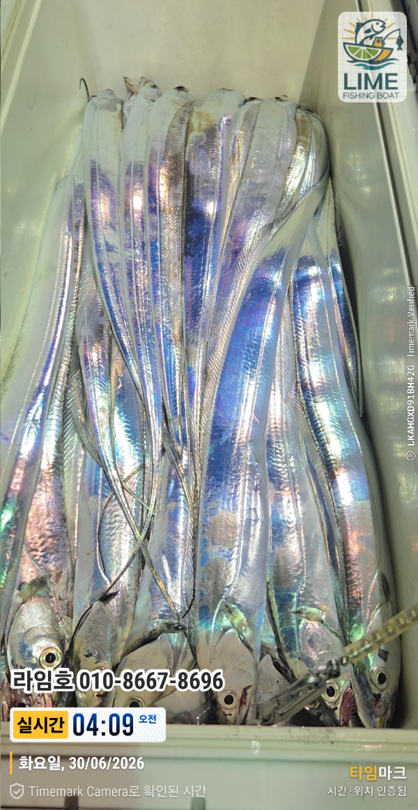 2026-06-30 04.09.05__(제목-실시간)_(라임호 010-8667-8696).jpg
