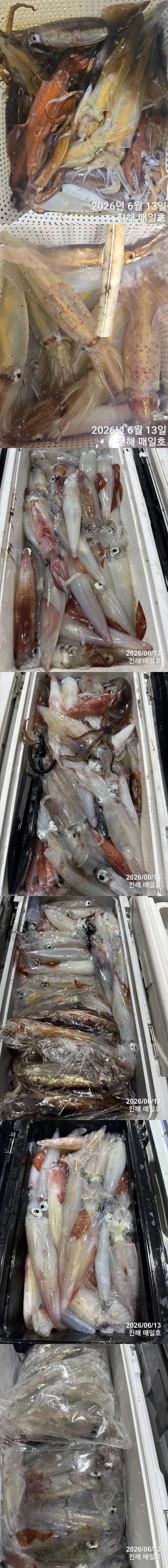 왕한치2.jpg