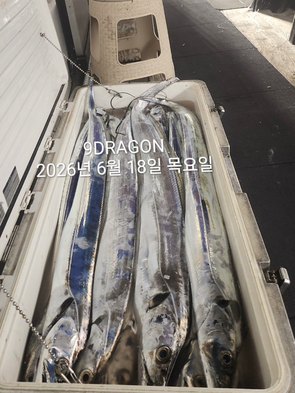 E5D3A5F4-CD9C-41A8-B3A4-842C83D228B4.jpeg