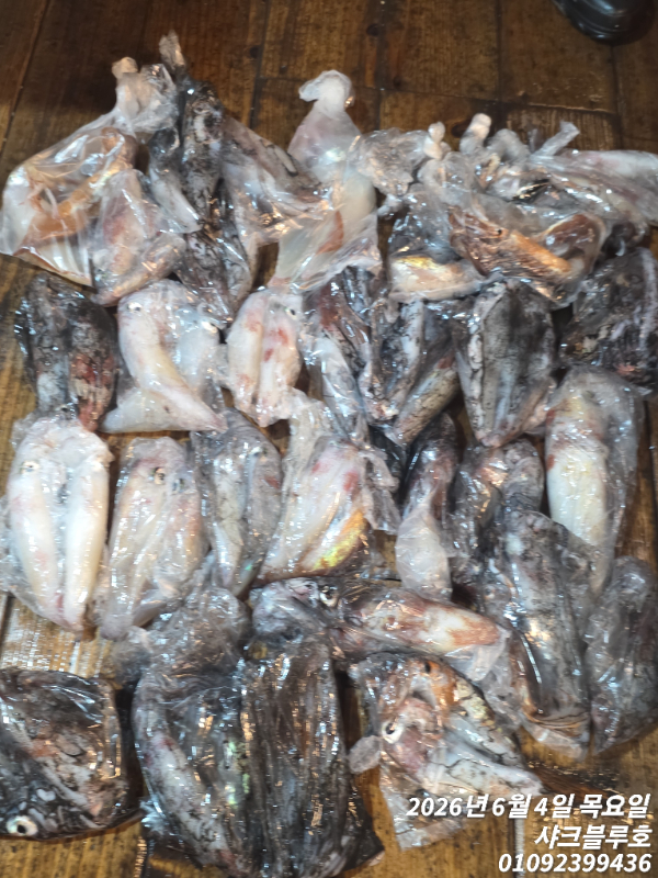 TimePhoto_20260604_041608.jpg