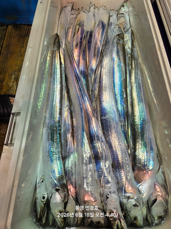 E1F96D3C-1B0D-4AE6-AC32-A31209741046.jpeg