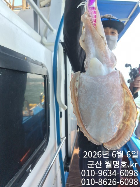 8589.jpg