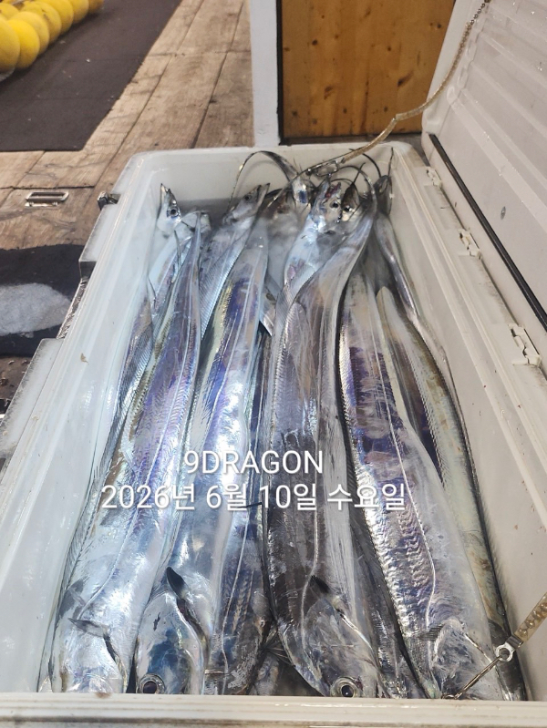 C177993C-B64F-4F68-B6EC-6CE30AF45E08.jpeg