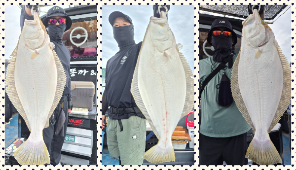 collage2.png