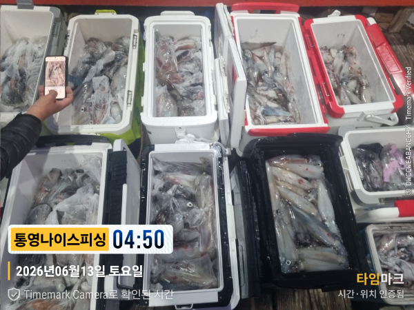 2026-06-13 04.50.04__(제목-통영나이스피싱).jpg