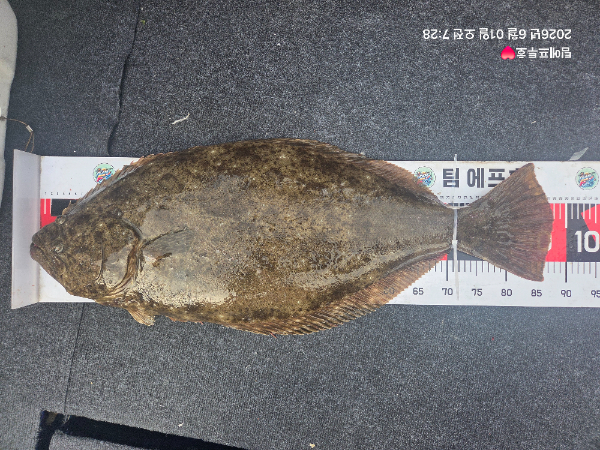 팀에프투호 전체1등  조우곤님 2.jpg