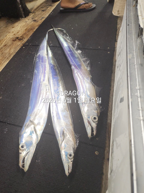 DBAF38BD-2E8F-4FA9-B75F-160B55311E91.jpeg