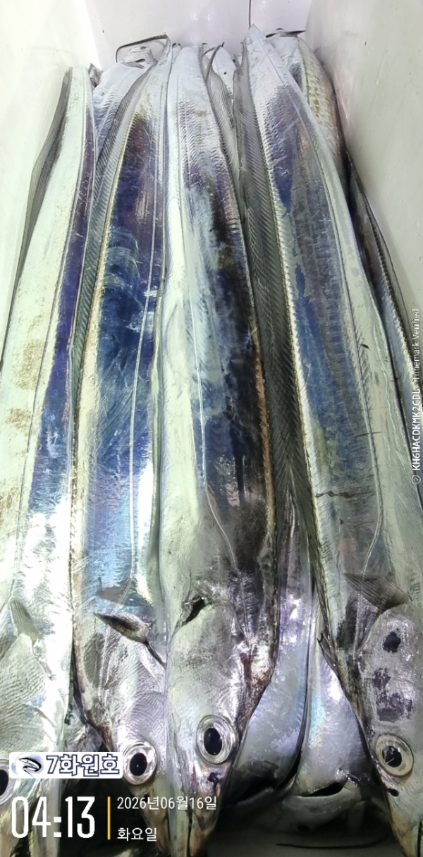 D310CCBD-ED95-4AE8-8B20-2ED9F81F8551.jpeg