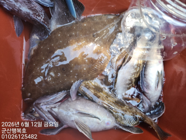 군산행복호_사진_20260612_16.jpg