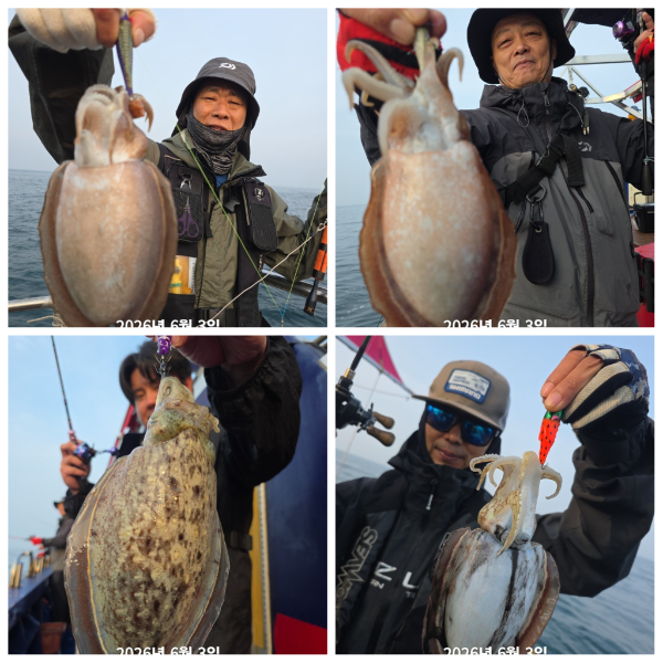 PhotoCollage_1780465530177.jpg