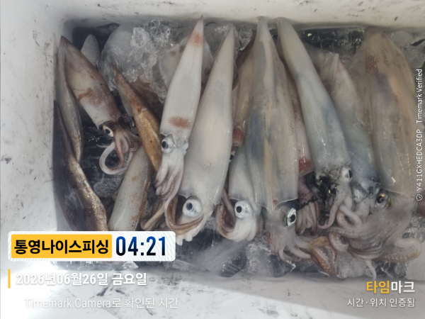 2026-06-26 04.21.47__(제목-통영나이스피싱).jpg