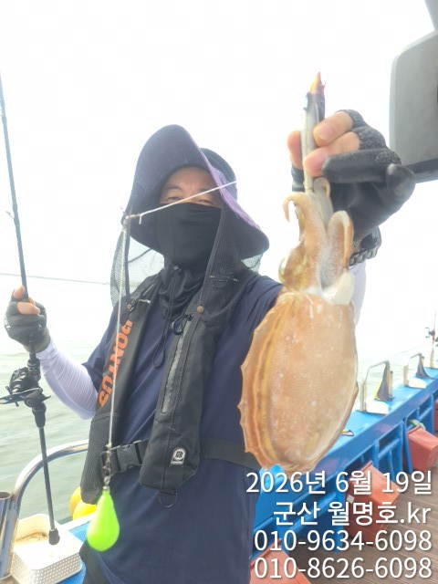 9806.jpg