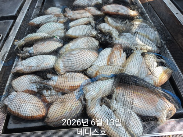 KakaoTalk_20260613_152112680_02.jpg