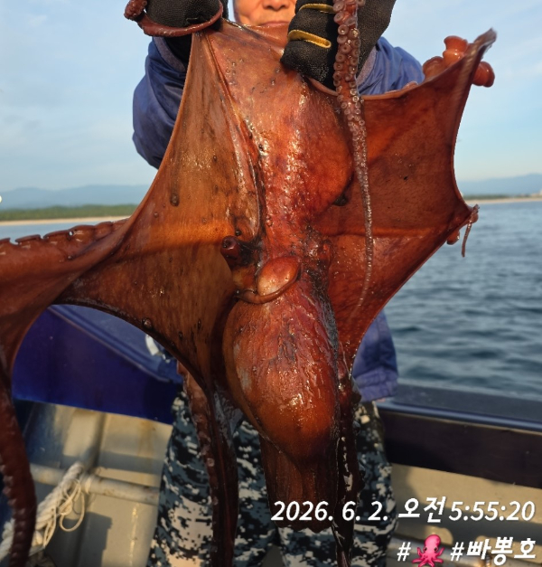빠뽕호 (010_2127_0378)_사진_20260602_16.jpg