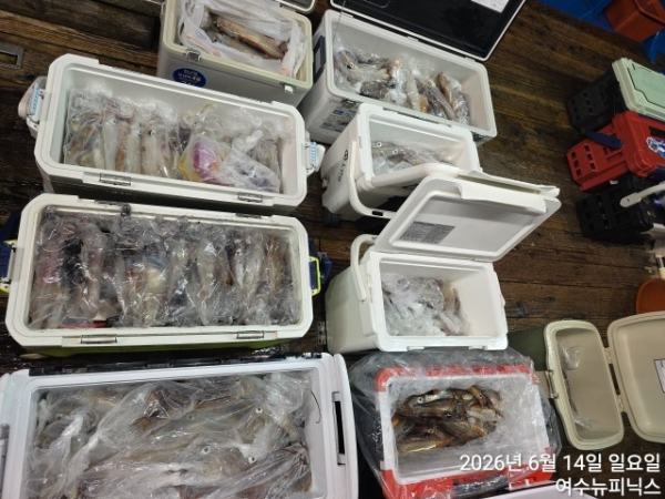 6월14일한치 (45).jpg