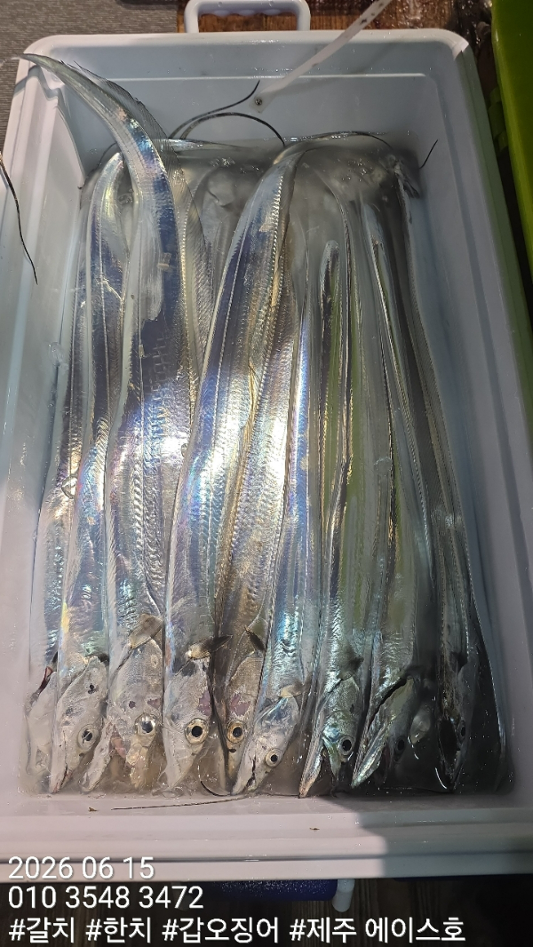 KakaoTalk_20260615_122001818_06.jpg