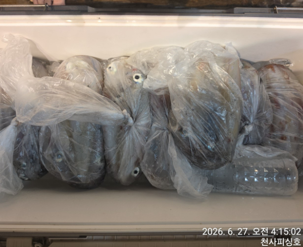 1004피싱_사진_20260627_4.jpg