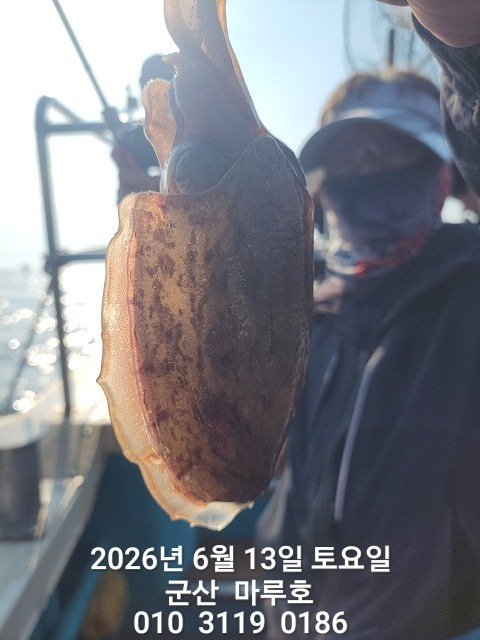 KakaoTalk_20260613_080712964.jpg