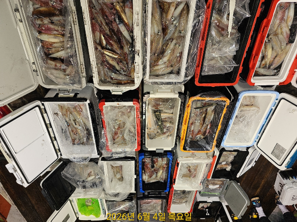 2005679A-90BC-44F3-8444-2F3DE90776C0.jpeg