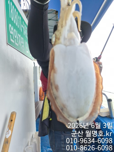 8160.jpg