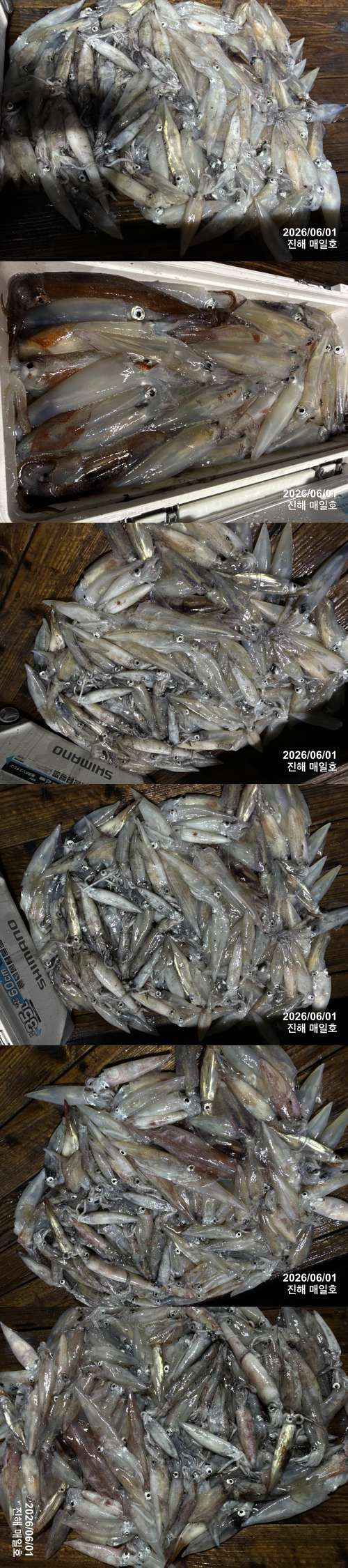 왕한치2.jpg