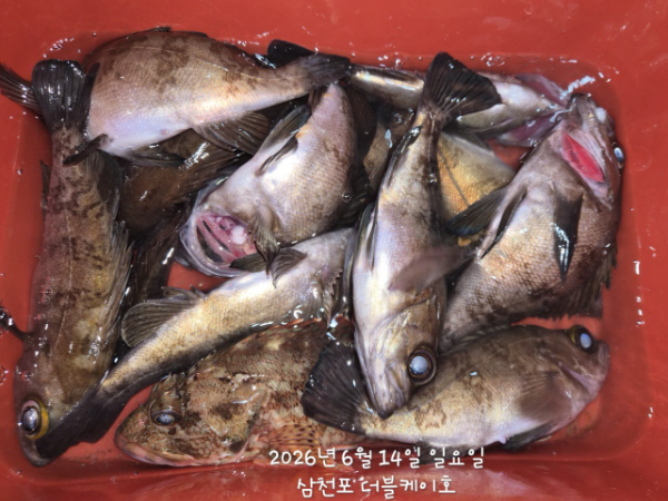 TimePhoto_20260614_003312.jpg