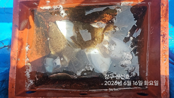 신신낚시 강구점 신신호_사진_20260616_3.jpg