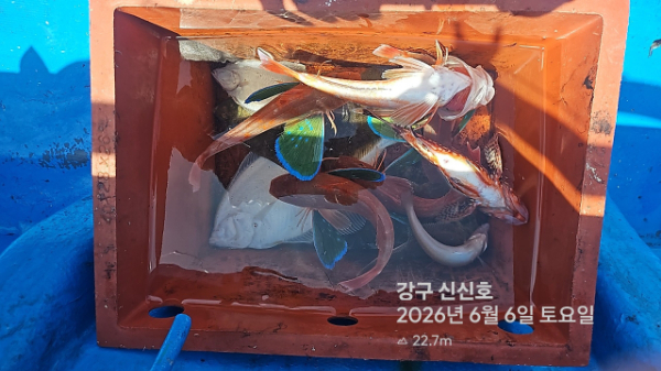 신신낚시 강구점 신신호_사진_20260606_18.jpg
