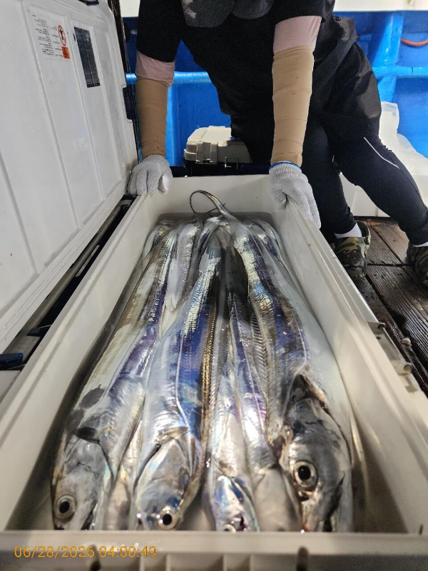 KakaoTalk_20260628_110917322_11.jpg