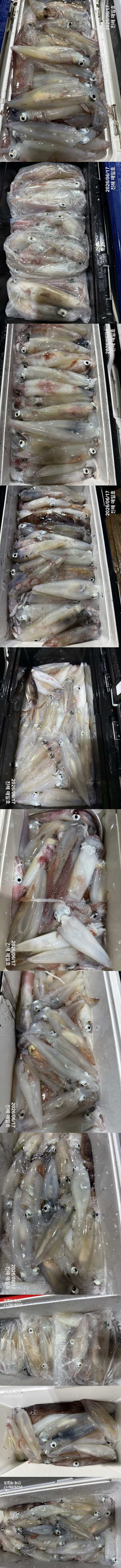 왕한치2.jpg